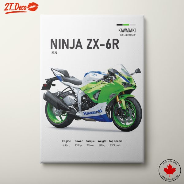 2024 Kawasaki Ninja ZX-6R Motorcycle