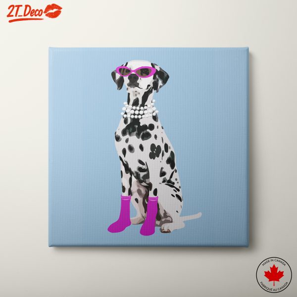 Stylish Dalmatian Wearing Accessories