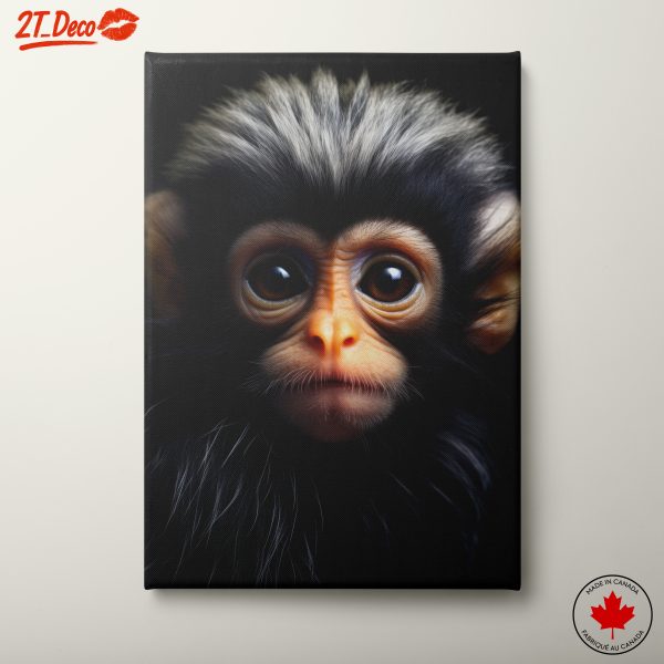 Close-Up Portrait of a Monkey