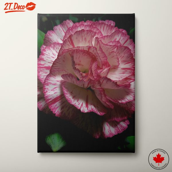 Stunning Flower Art with Pink Stripes