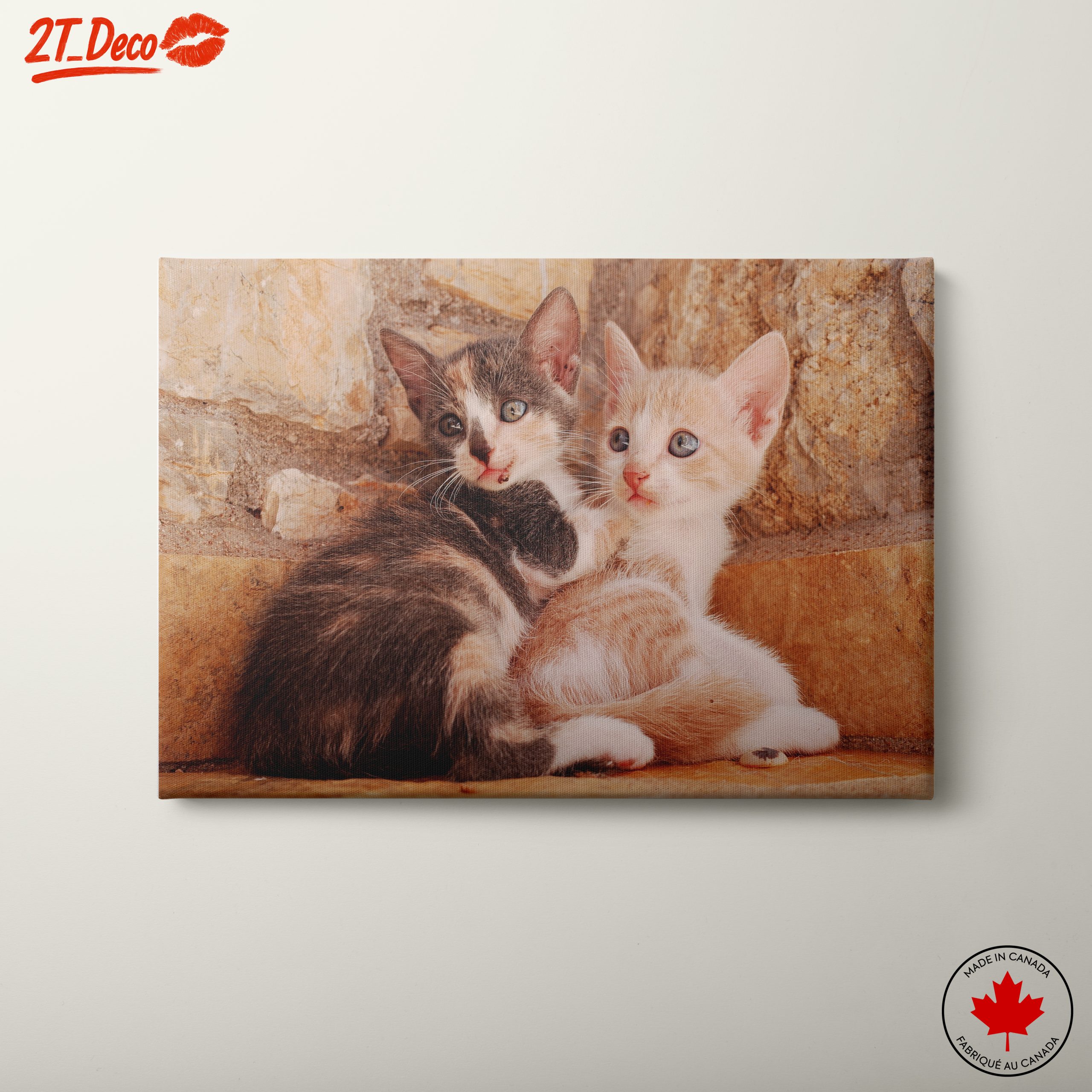 Cute Kittens Snuggling Together