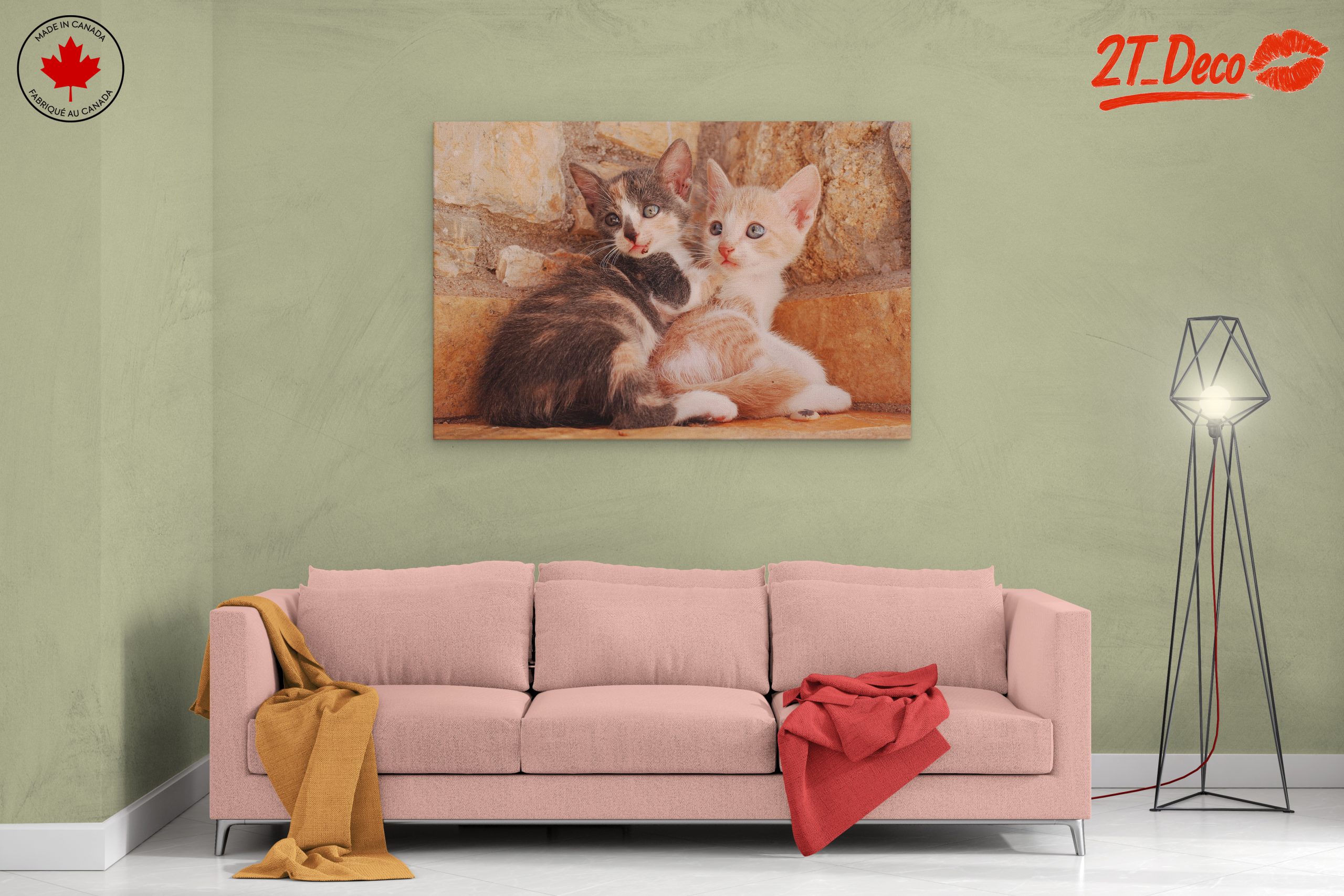 Cute Kittens Snuggling Together - Image 2
