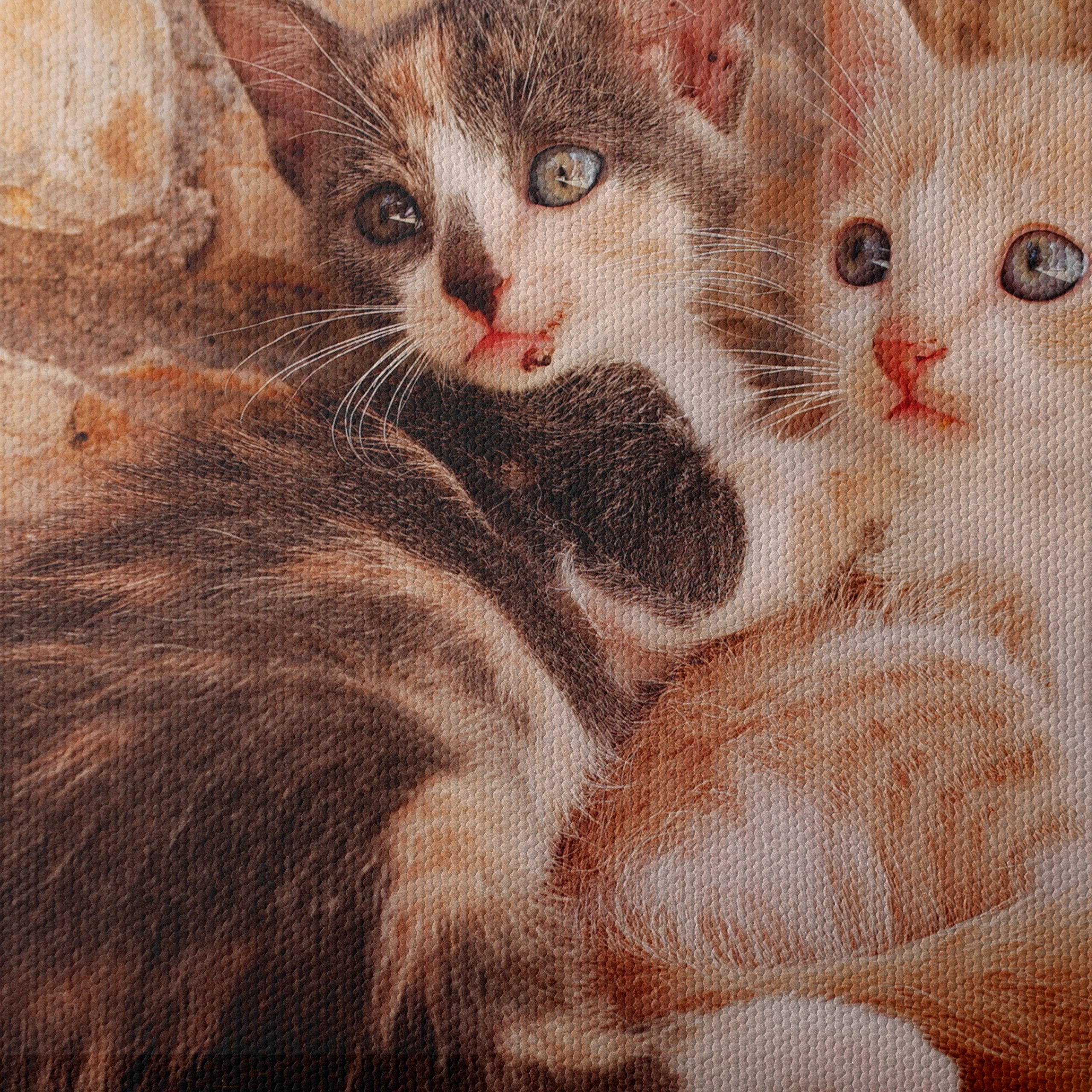 Cute Kittens Snuggling Together - Image 4