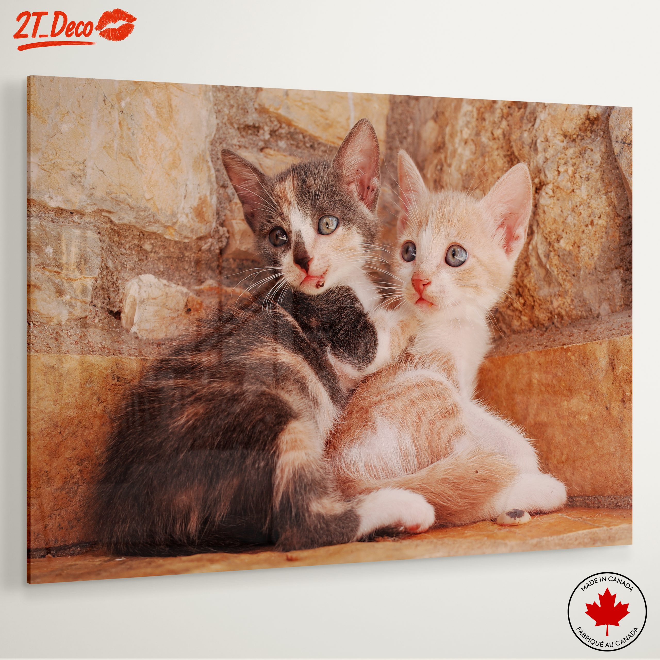 Cute Kittens Snuggling Together - Image 6