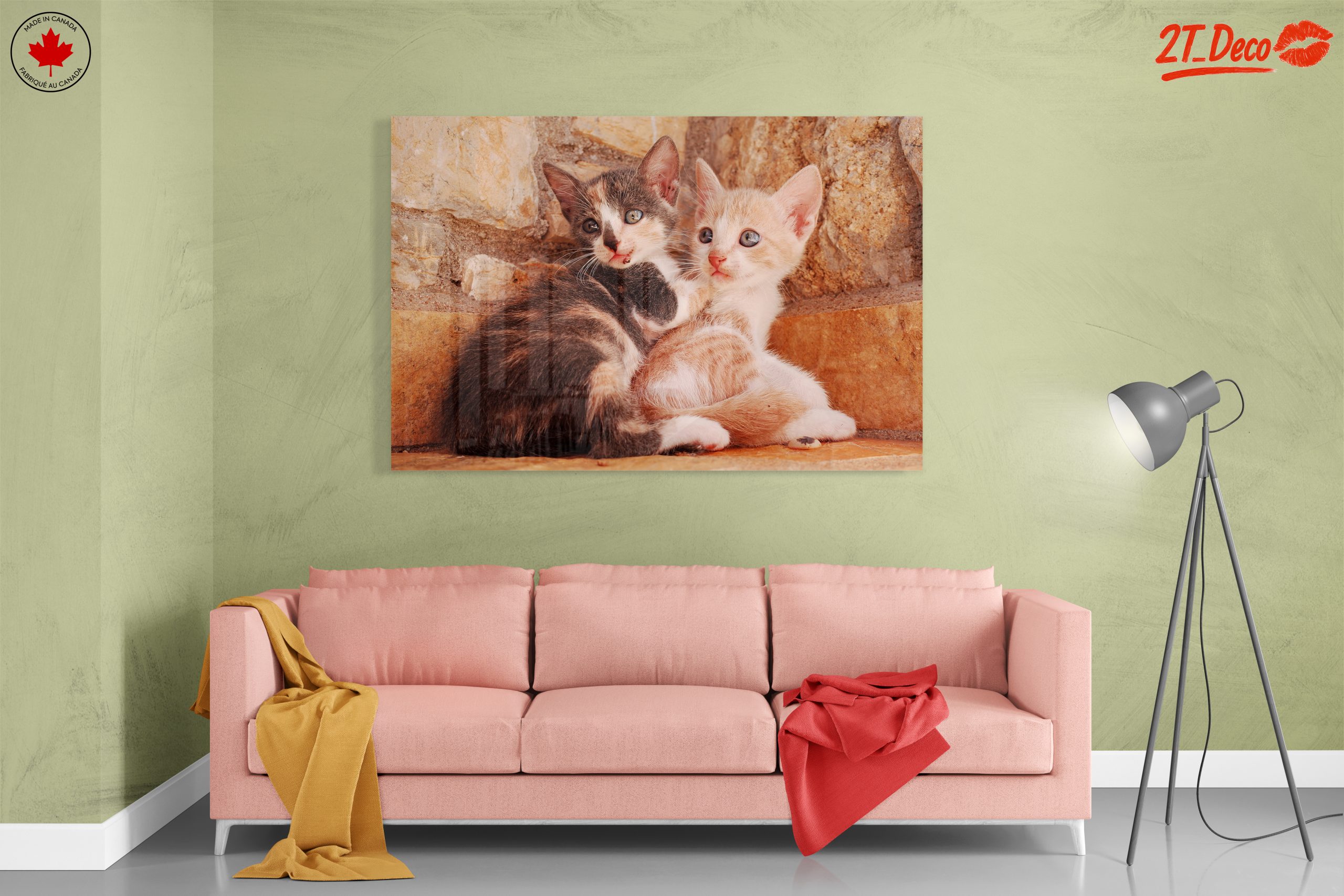 Cute Kittens Snuggling Together - Image 7