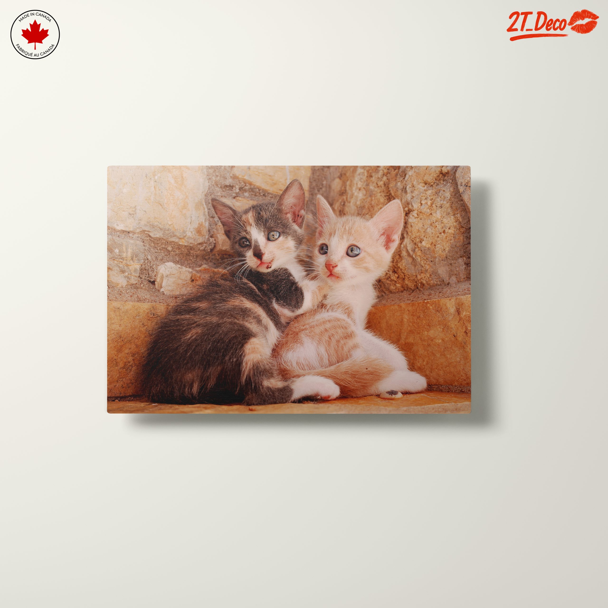 Cute Kittens Snuggling Together - Image 10