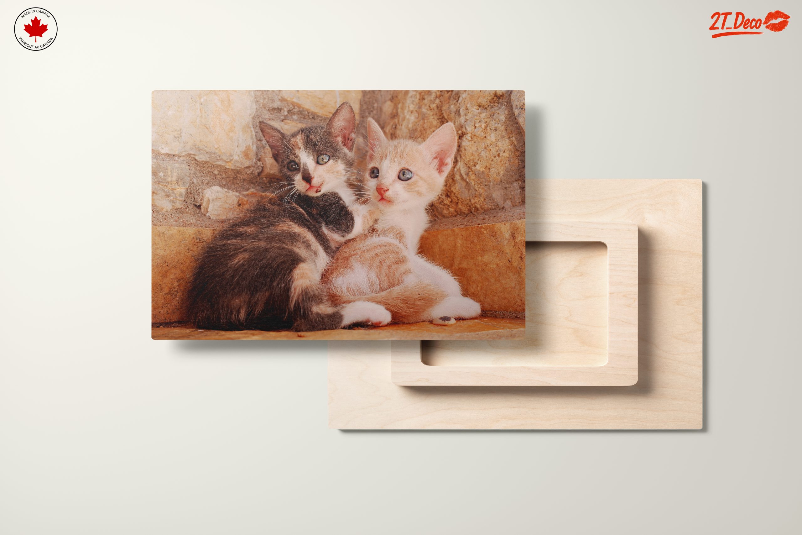 Cute Kittens Snuggling Together - Image 11