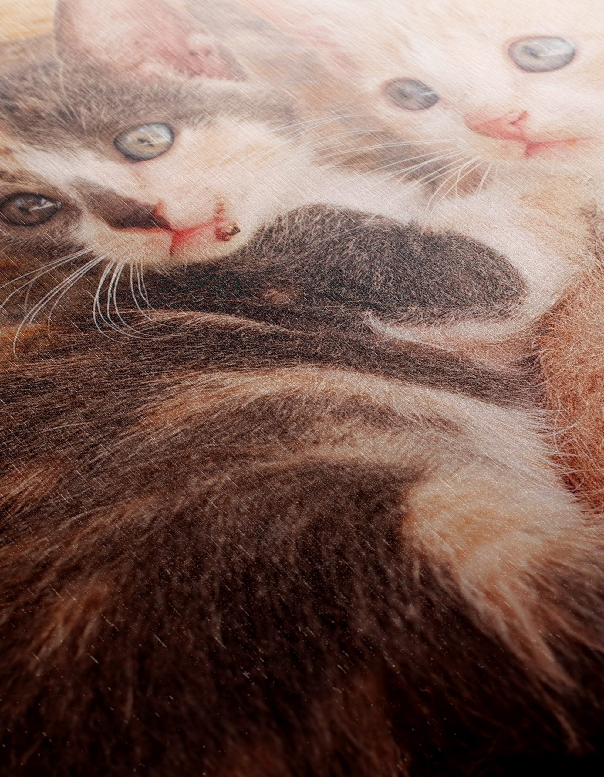 Cute Kittens Snuggling Together - Image 12