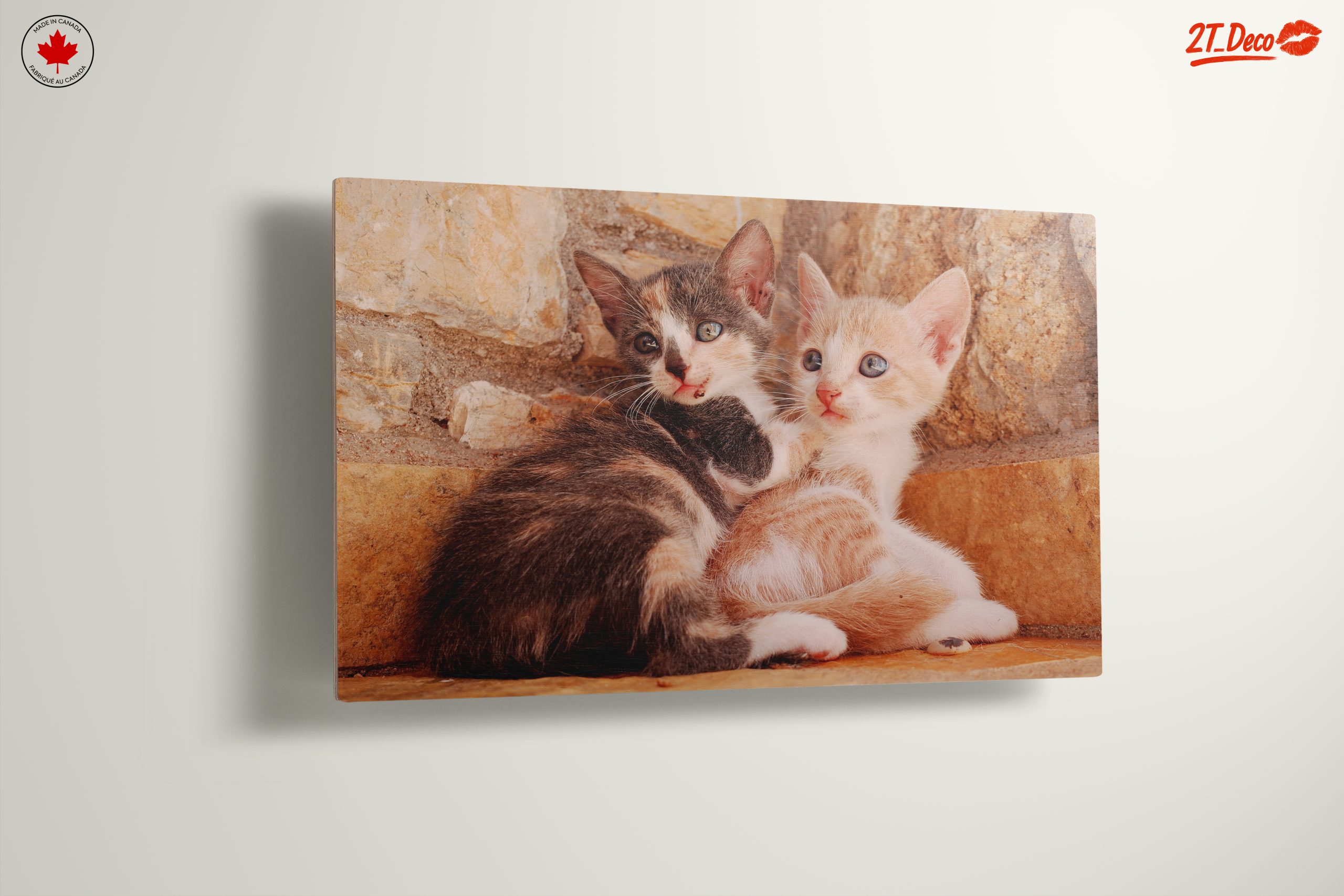Cute Kittens Snuggling Together - Image 13
