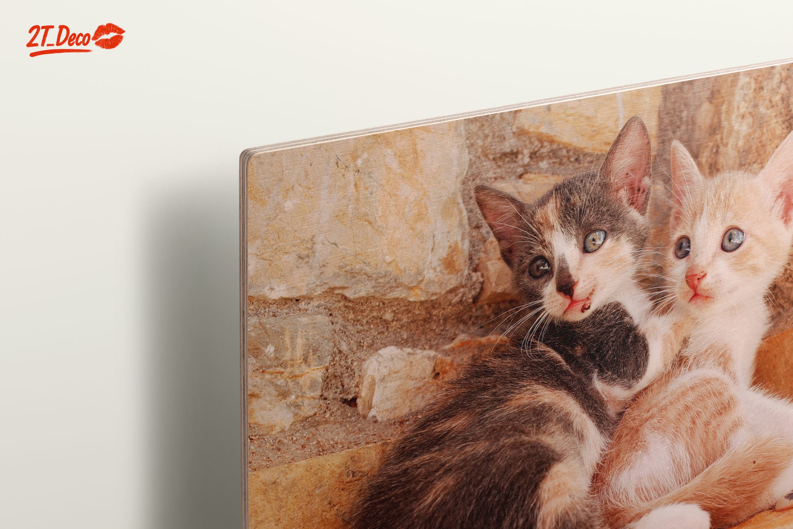 Cute Kittens Snuggling Together - Image 15