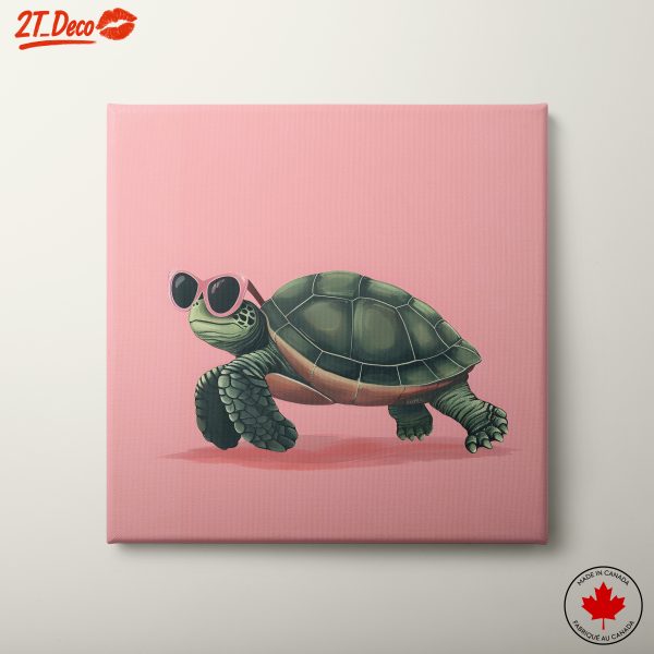 Stylish Turtle in Sunglasses