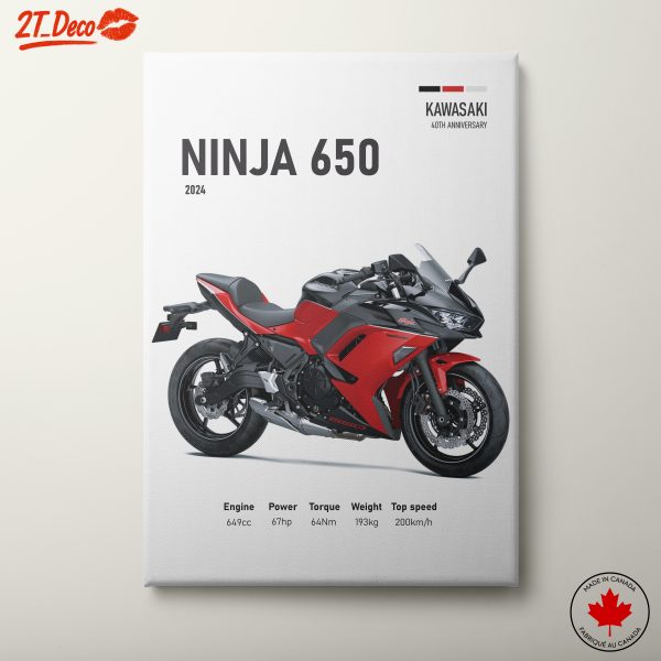 Kawasaki Ninja 650 Motorcycle Art