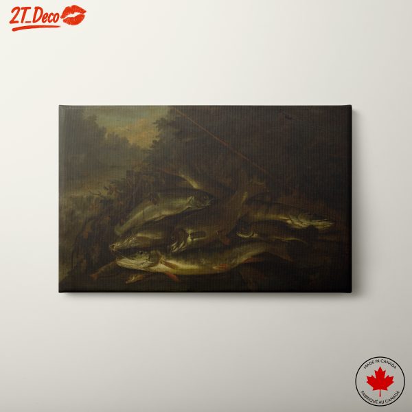 Beautiful Aquatic Animals Artwork