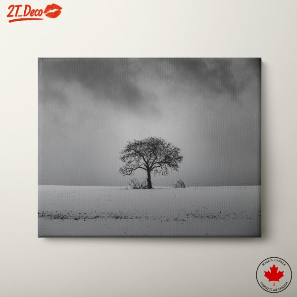 Silhouette Tree in Snowy Landscape