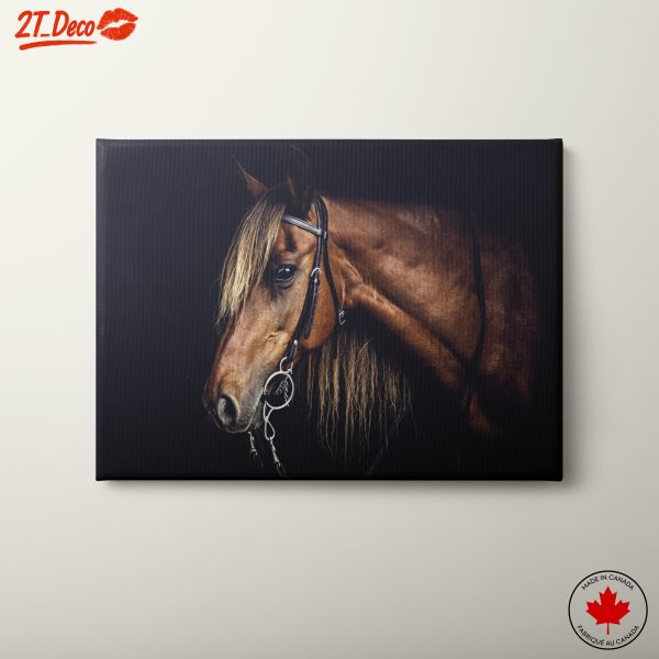 Stunning Horse Wall Art