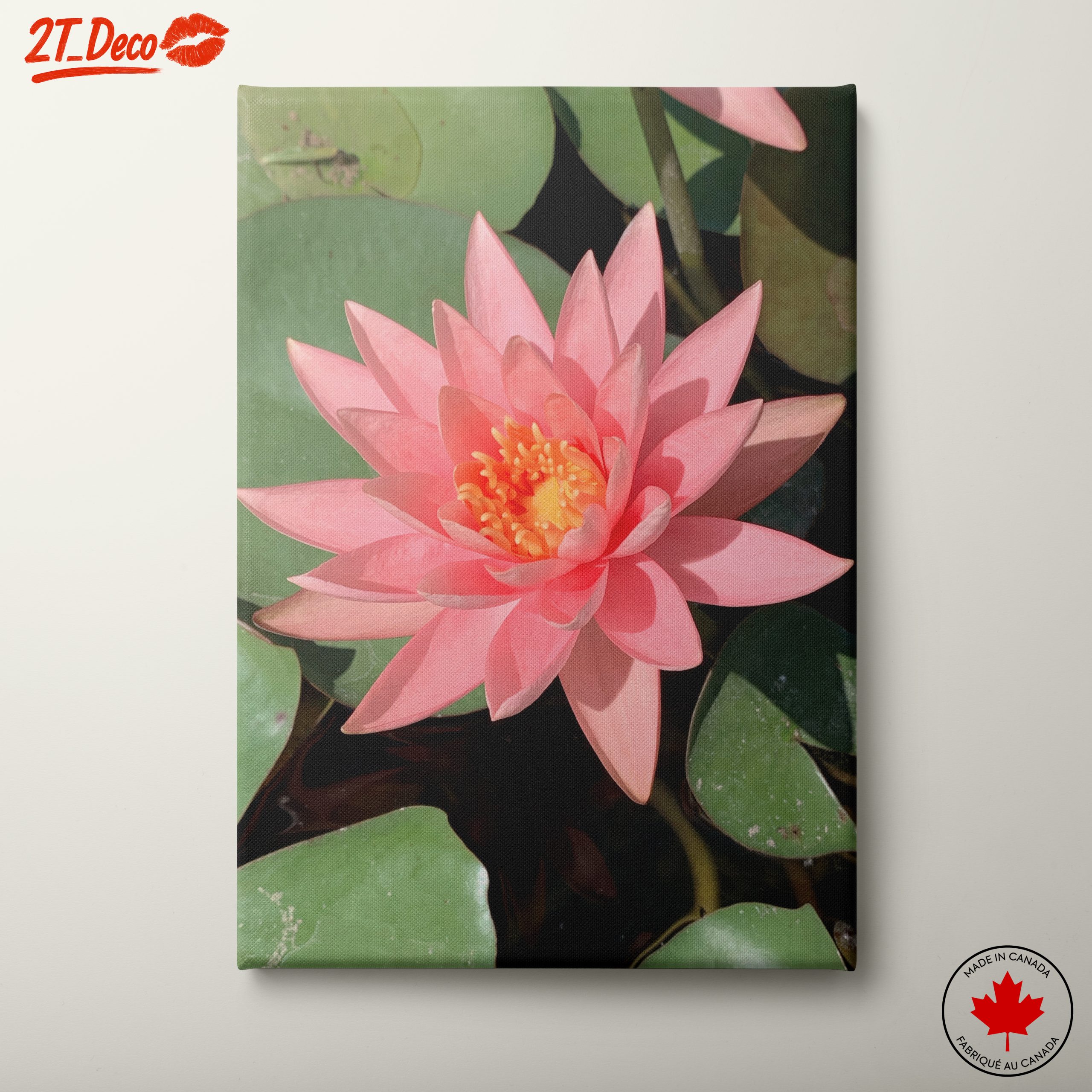 Stunning Pink Water Lily On Calm Water