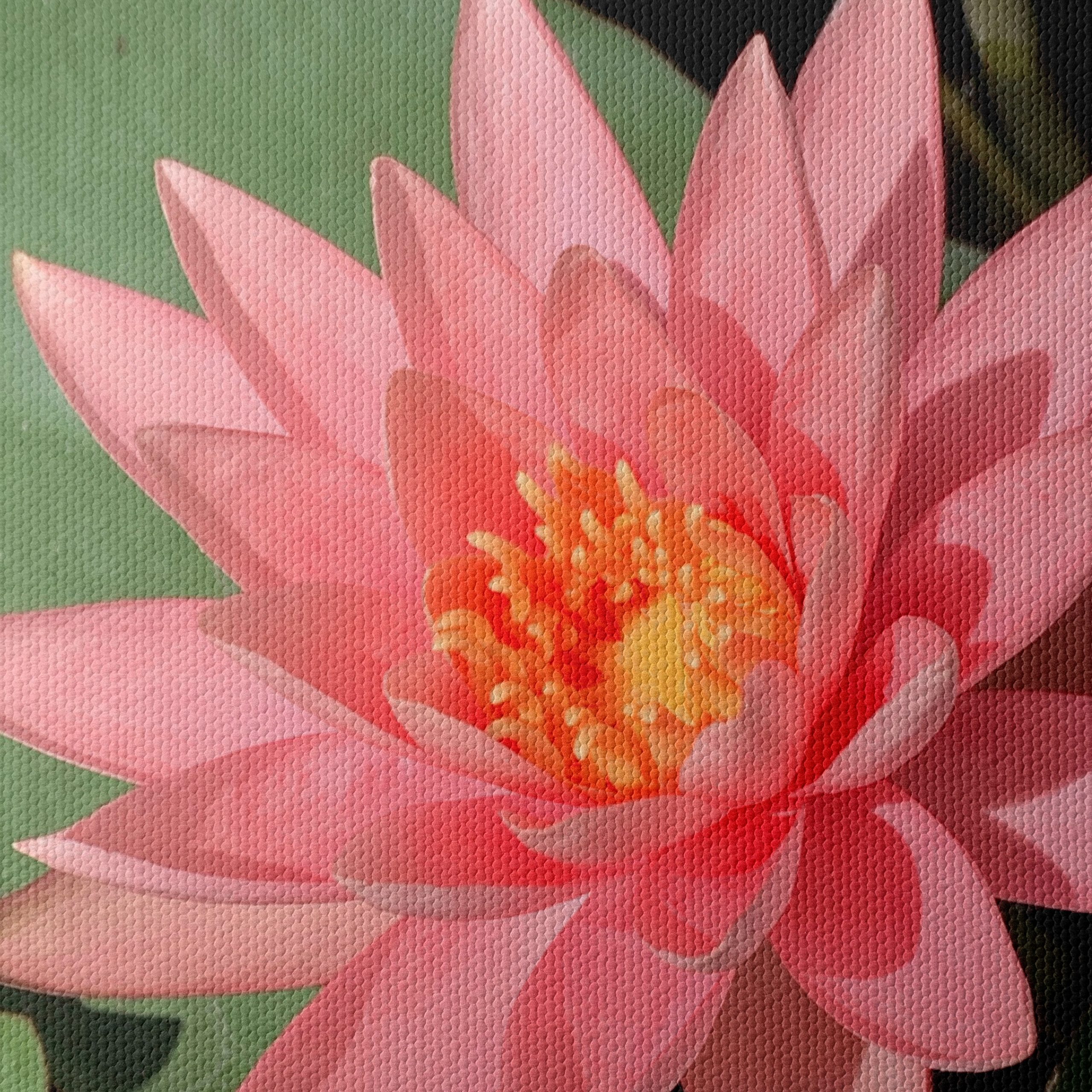 Stunning Pink Water Lily On Calm Water - Image 4