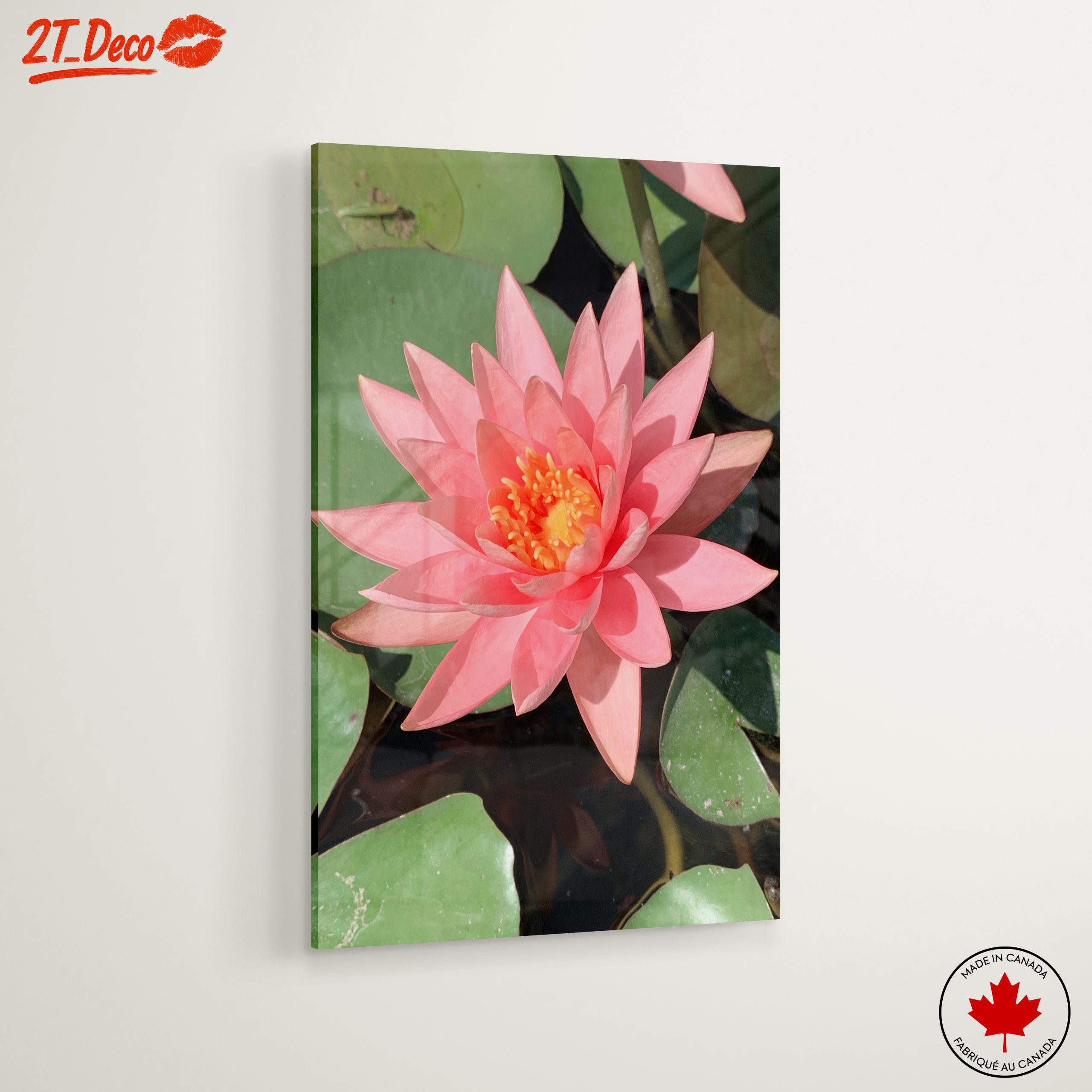 Stunning Pink Water Lily On Calm Water - Image 6