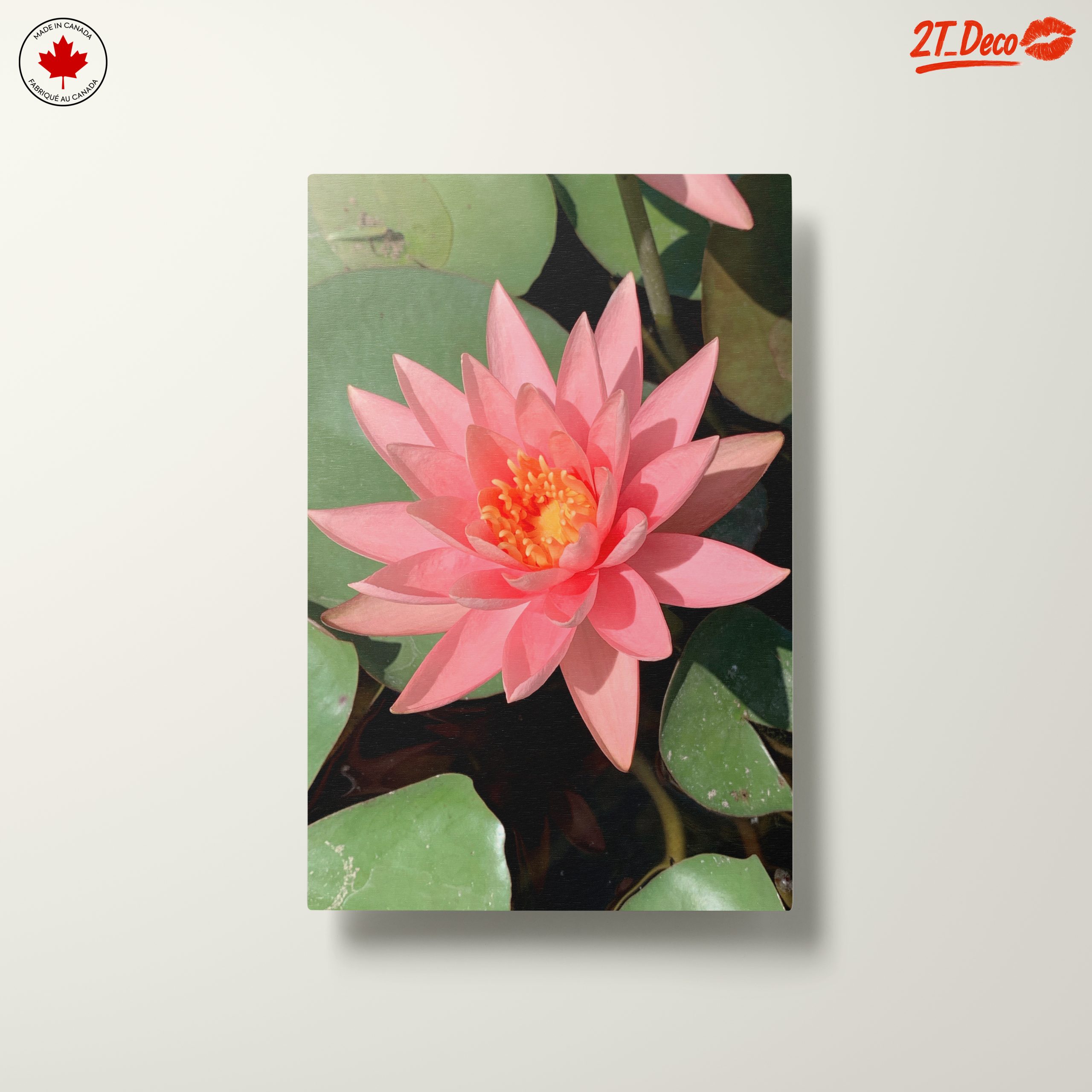 Stunning Pink Water Lily On Calm Water - Image 10
