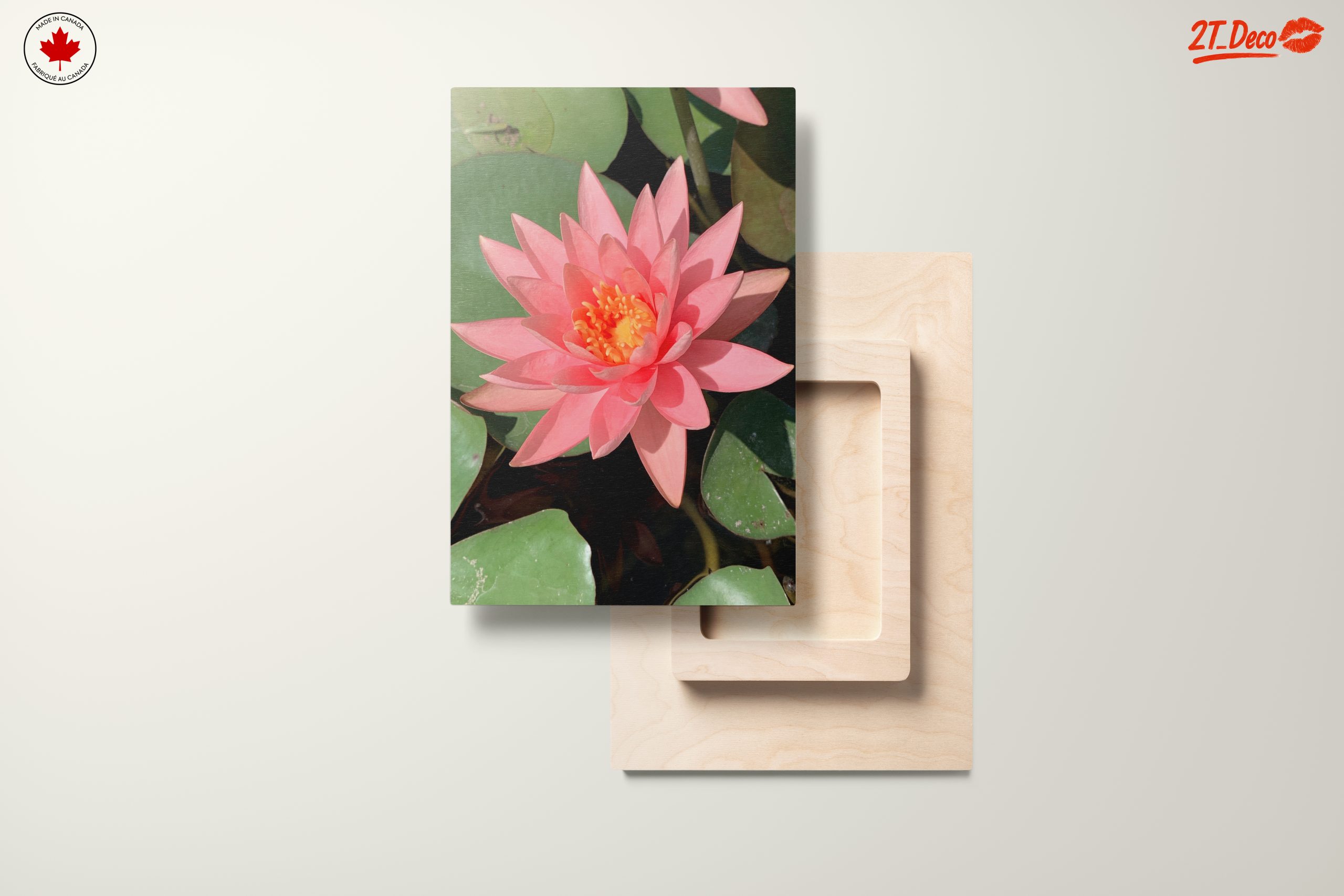 Stunning Pink Water Lily On Calm Water - Image 11