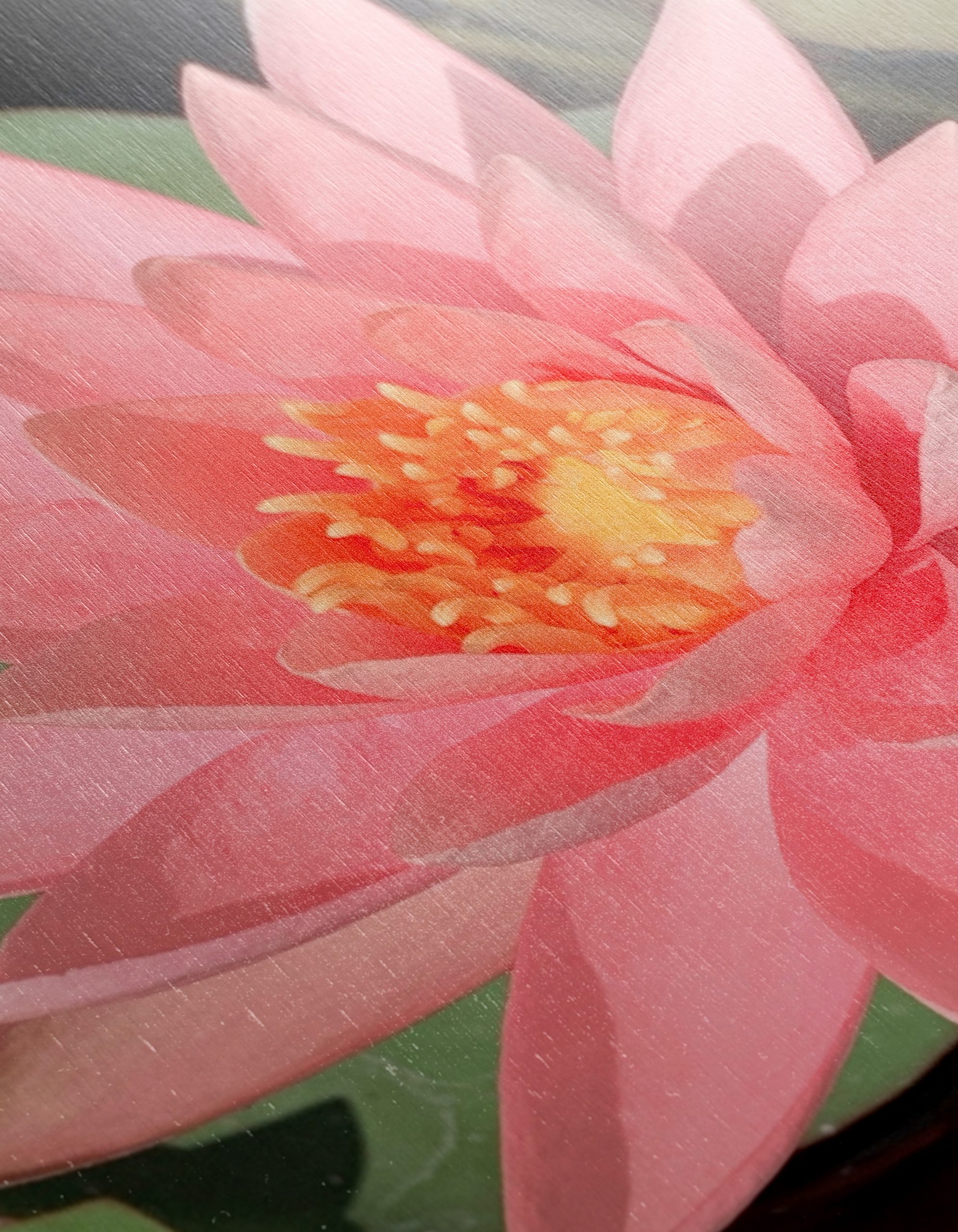 Stunning Pink Water Lily On Calm Water - Image 12