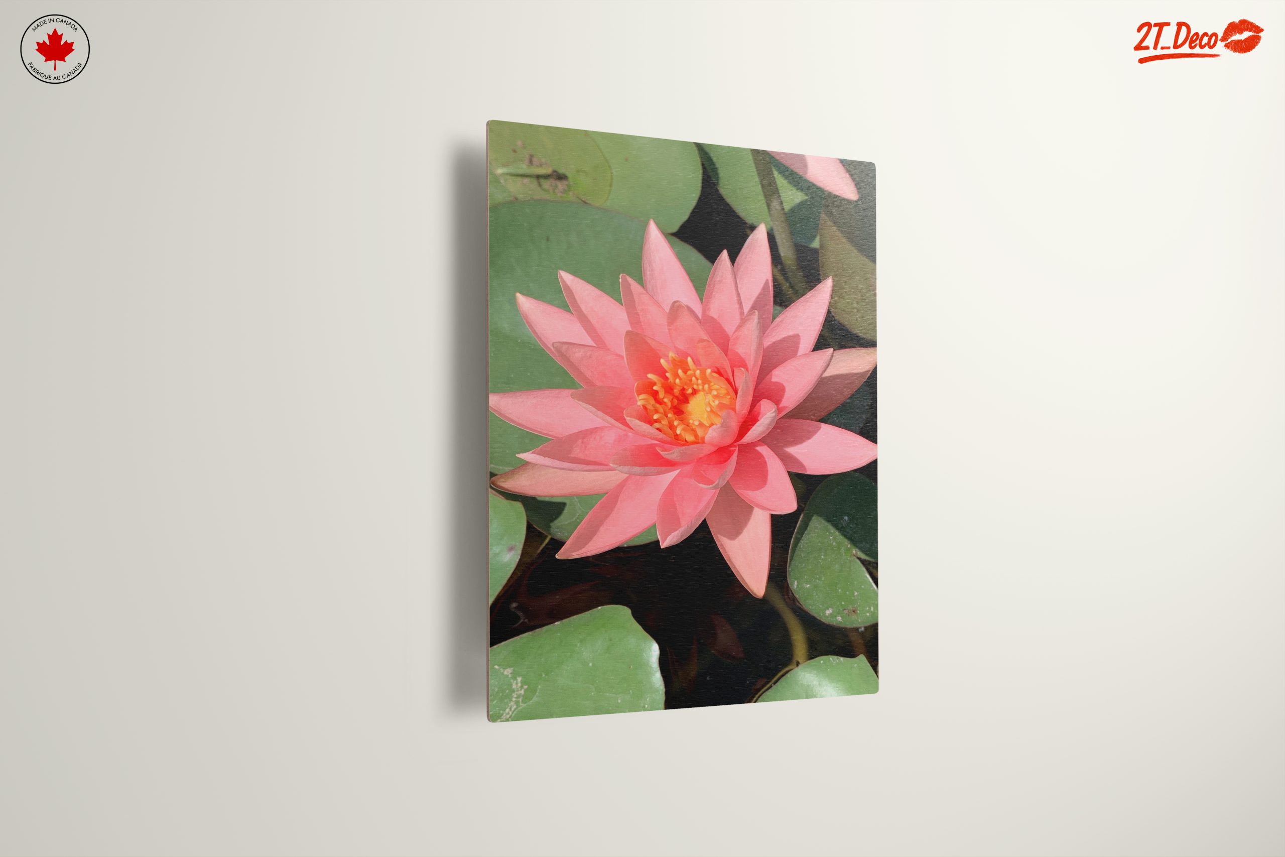 Stunning Pink Water Lily On Calm Water - Image 13
