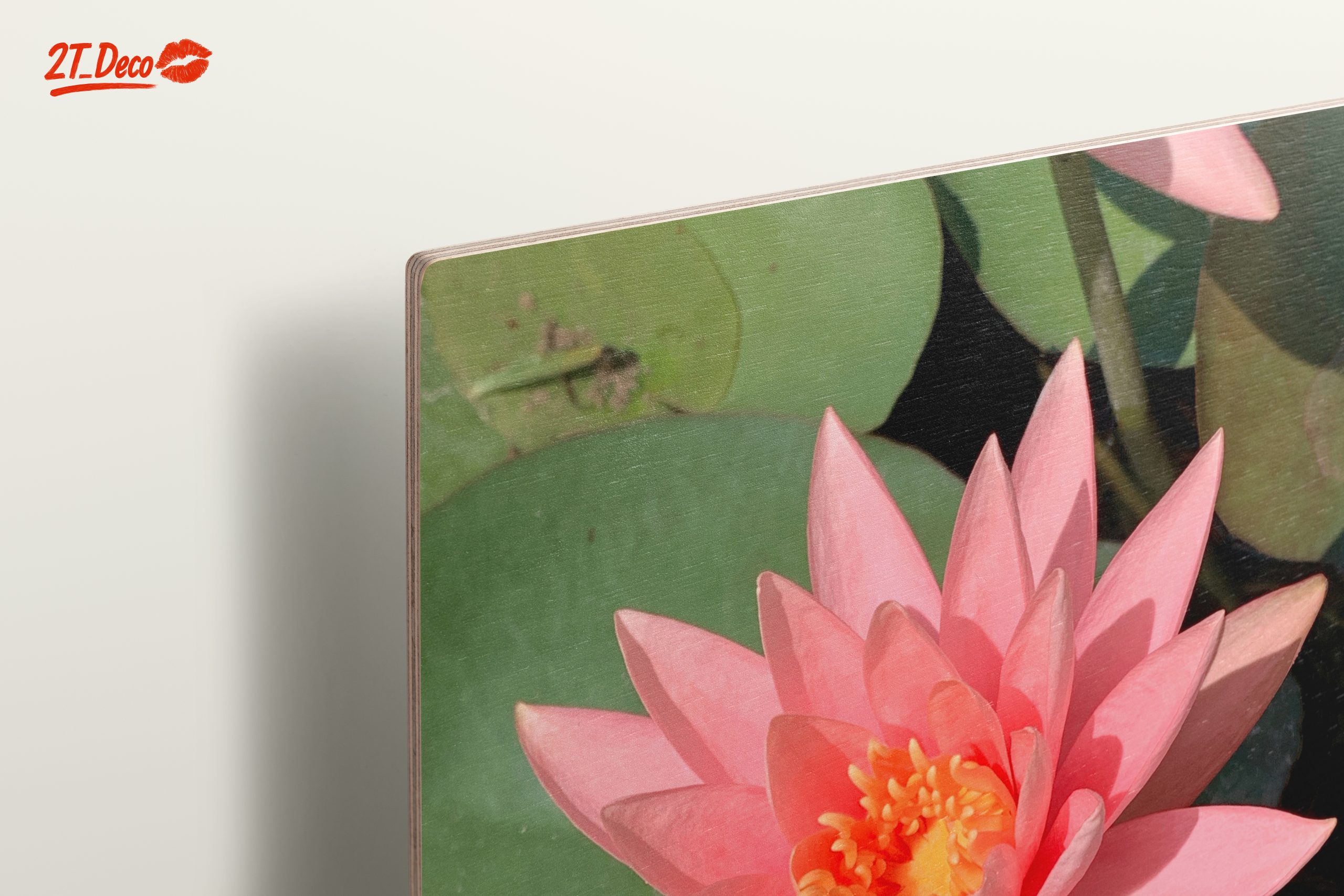 Stunning Pink Water Lily On Calm Water - Image 15