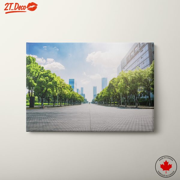 Urban Cityscape with Greenery and Sunlight