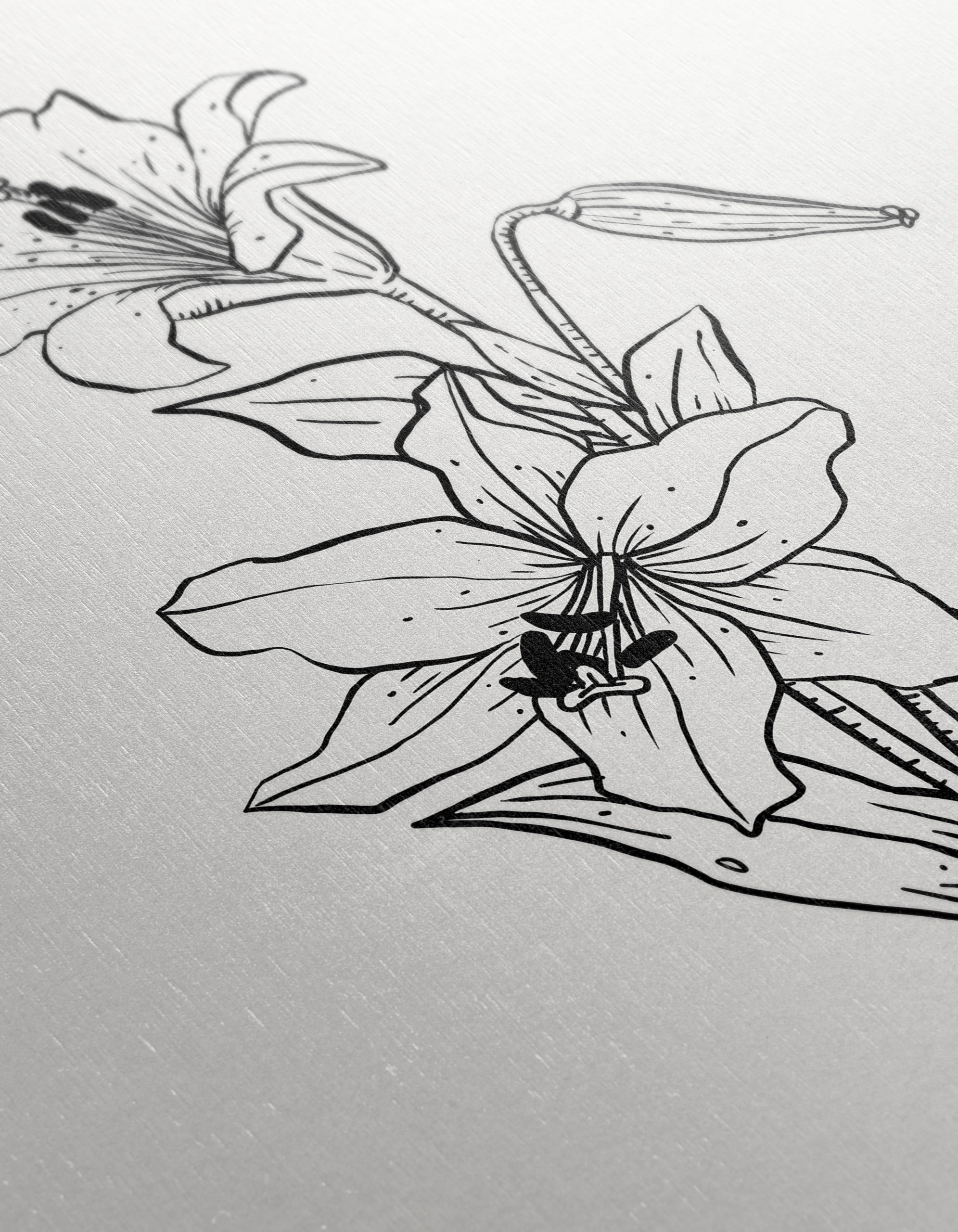 Stylized Floral Botanical Art 6 - Image 12