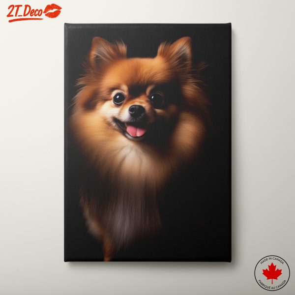 Playful Pomeranian Dog Portrait