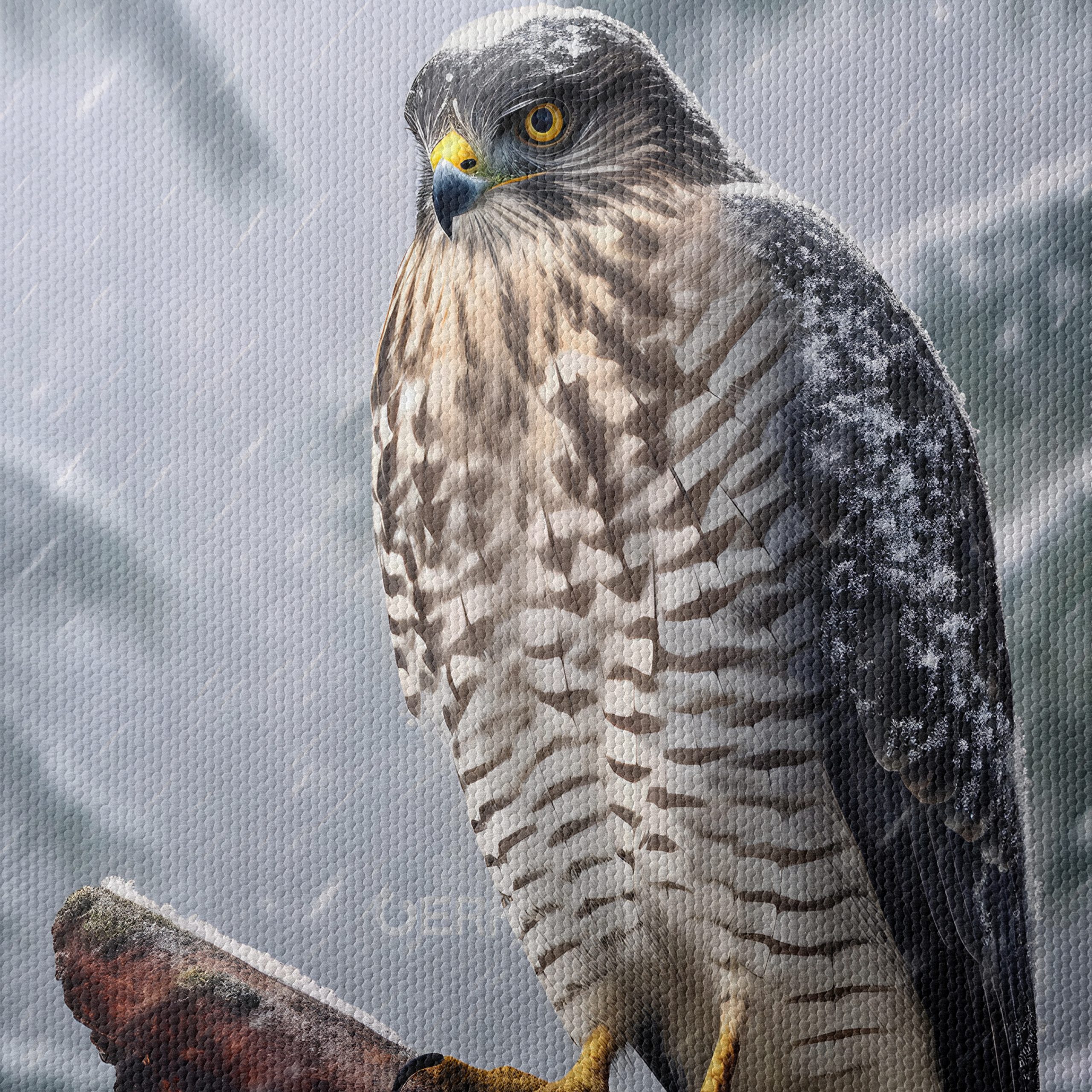 Stunning Eagle in Snowy Landscape - Image 4