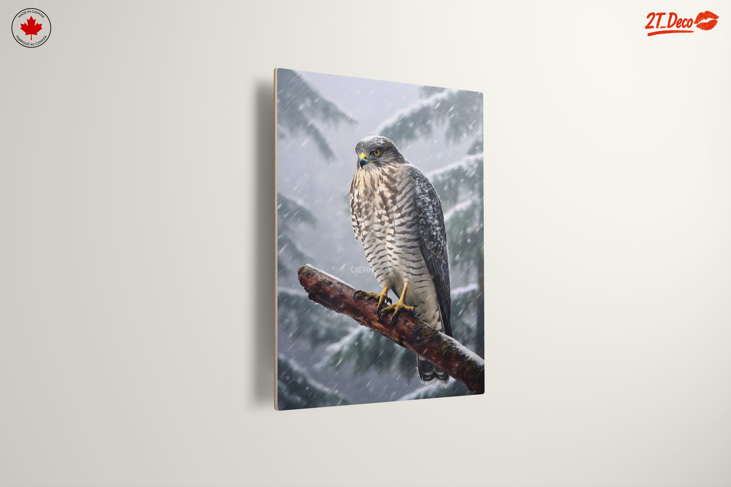 Stunning Eagle in Snowy Landscape - Image 13