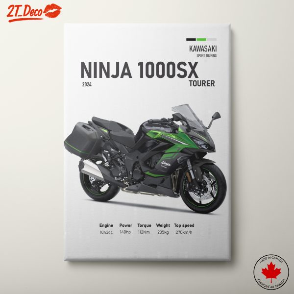 Kawasaki Ninja 1000SX Motorcycle Design