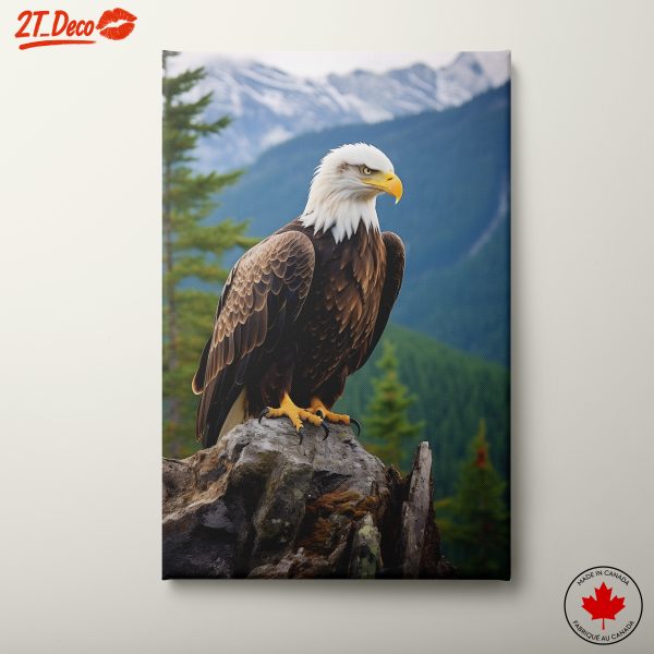 Stunning Bald Eagle Wall Art
