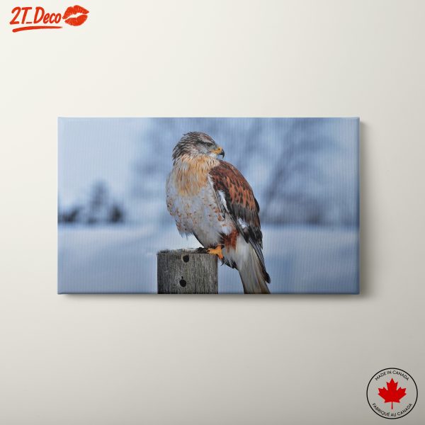 Majestic Bird on a Wooden Post