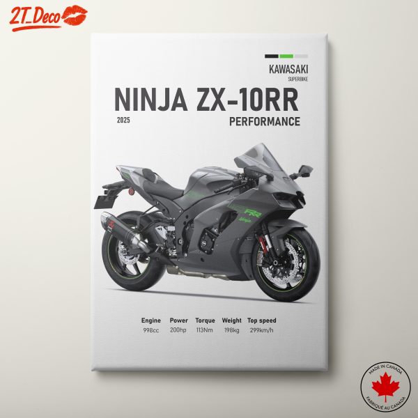 2025 Kawasaki Ninja ZX-10RR Performance Motorcycle