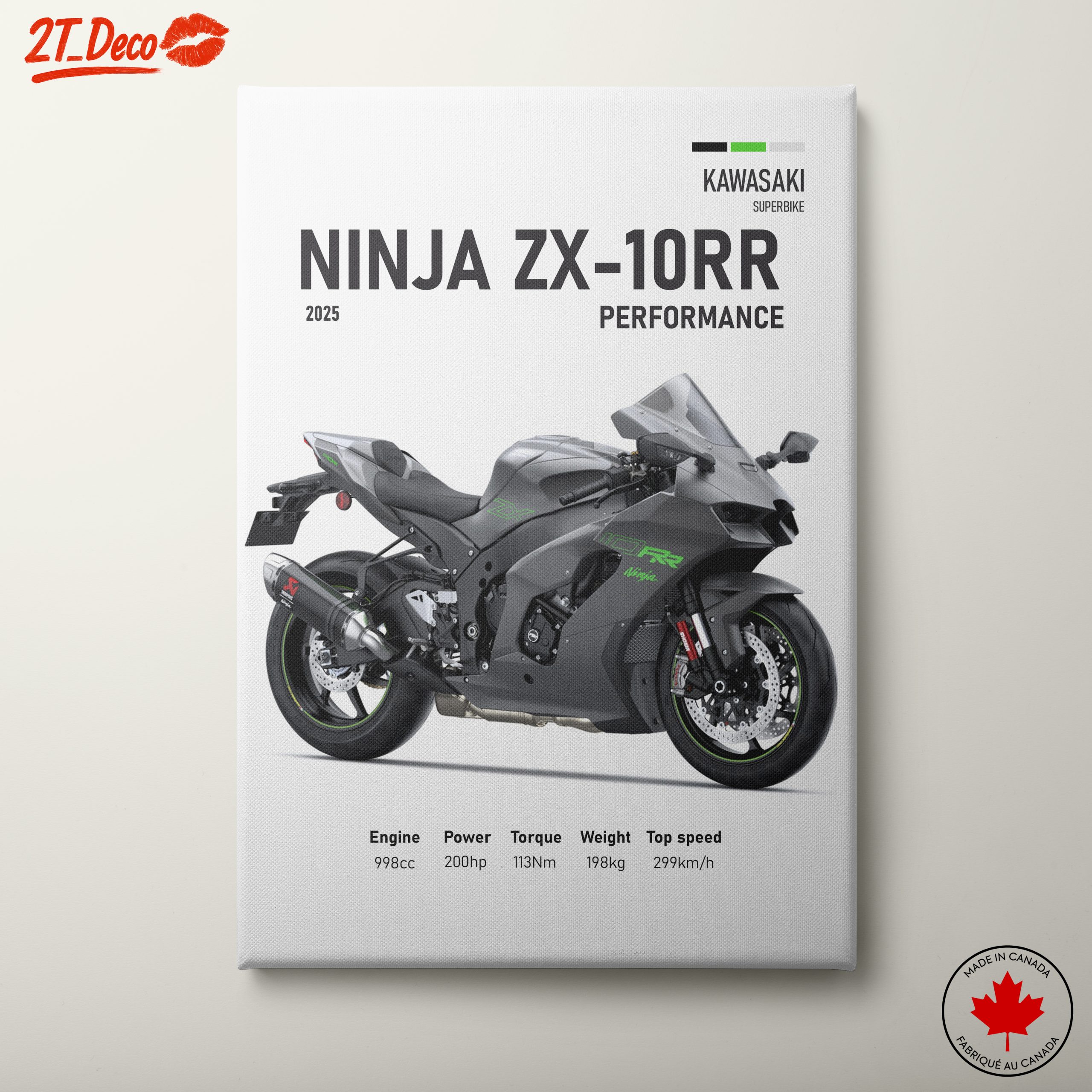 2025 Kawasaki Ninja ZX-10RR Performance Motorcycle