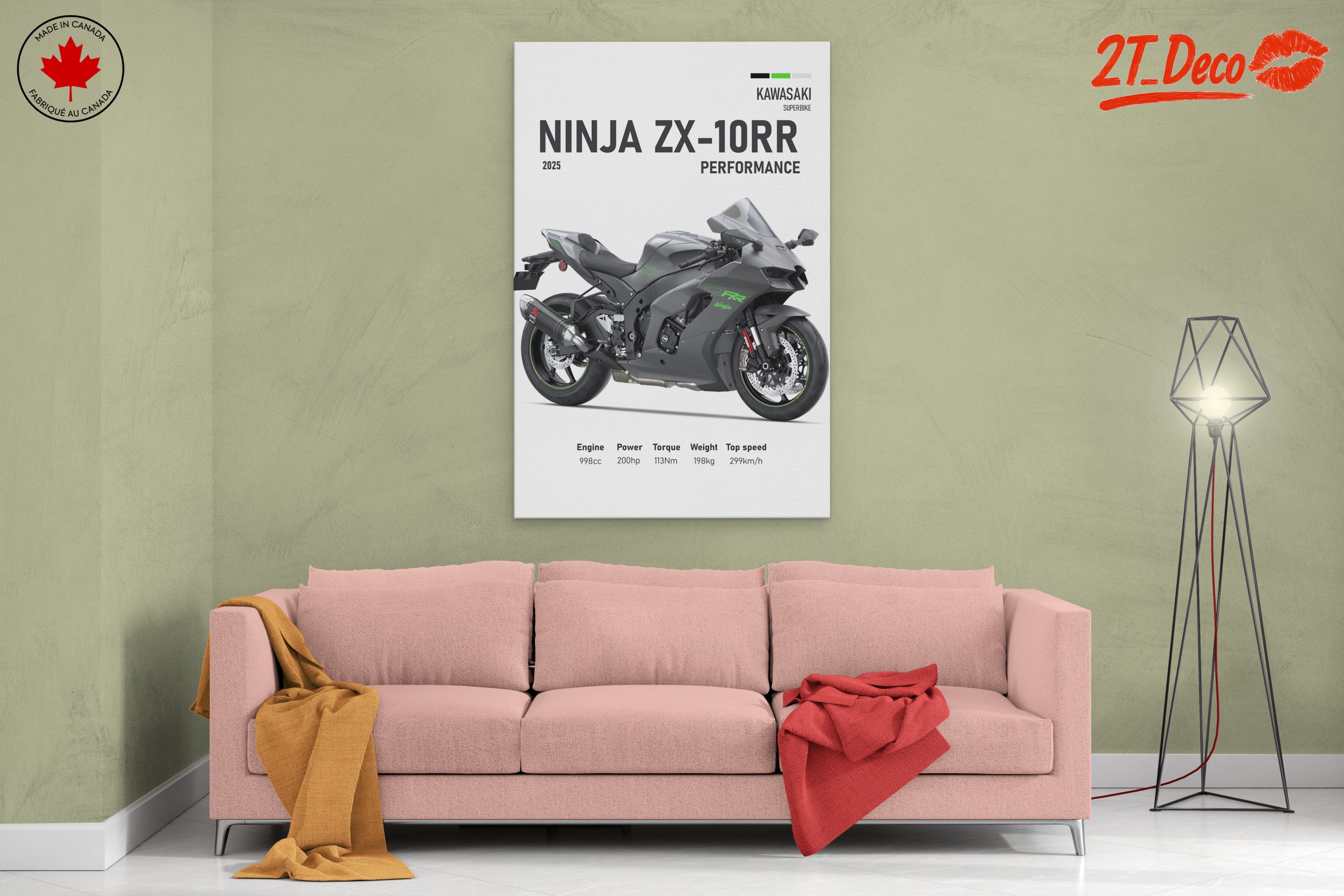 2025 Kawasaki Ninja ZX-10RR Performance Motorcycle - Image 2