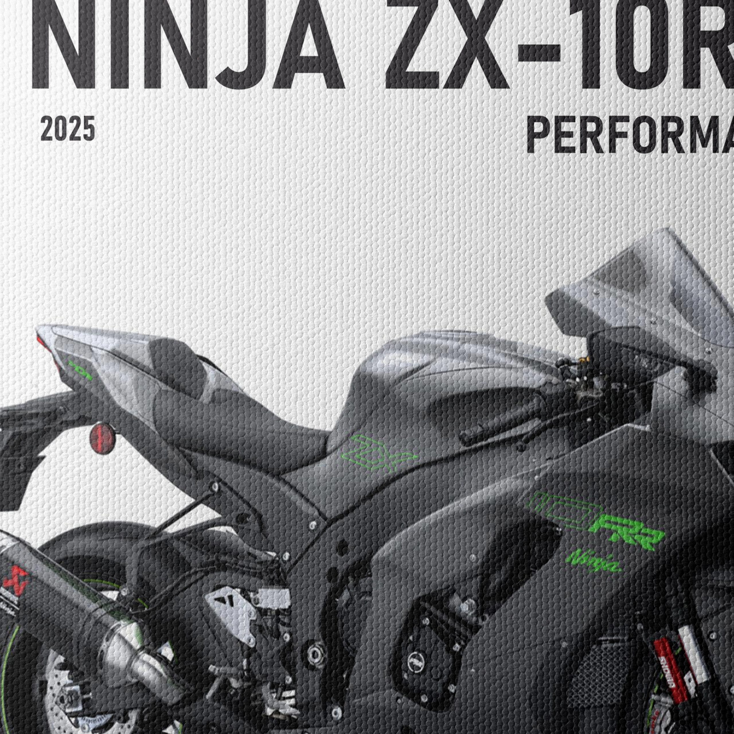 2025 Kawasaki Ninja ZX-10RR Performance Motorcycle - Image 4