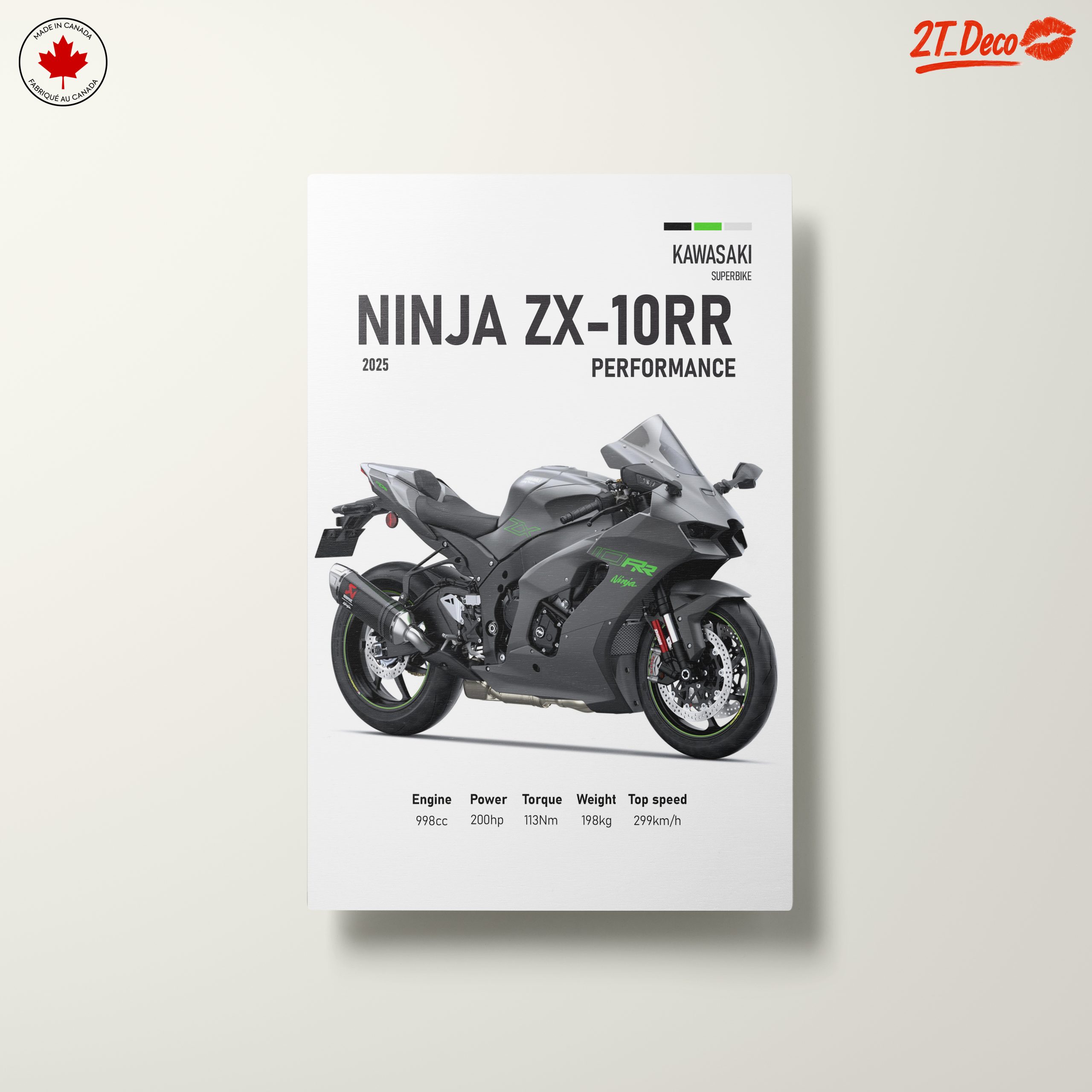 2025 Kawasaki Ninja ZX-10RR Performance Motorcycle - Image 10