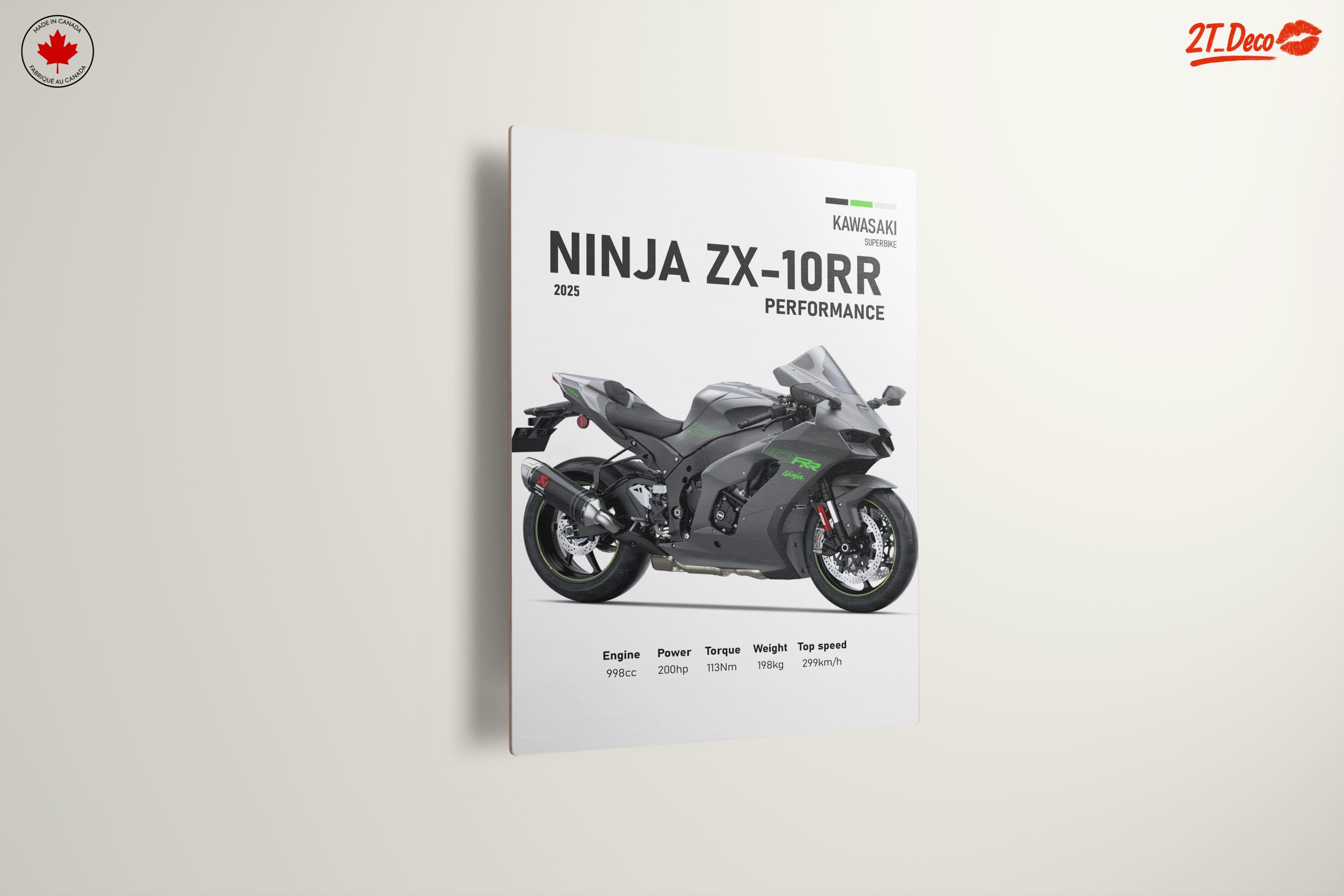 2025 Kawasaki Ninja ZX-10RR Performance Motorcycle - Image 13