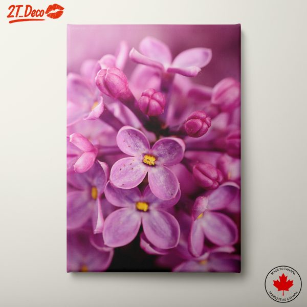 Vibrant Lilac Flowers in Bloom