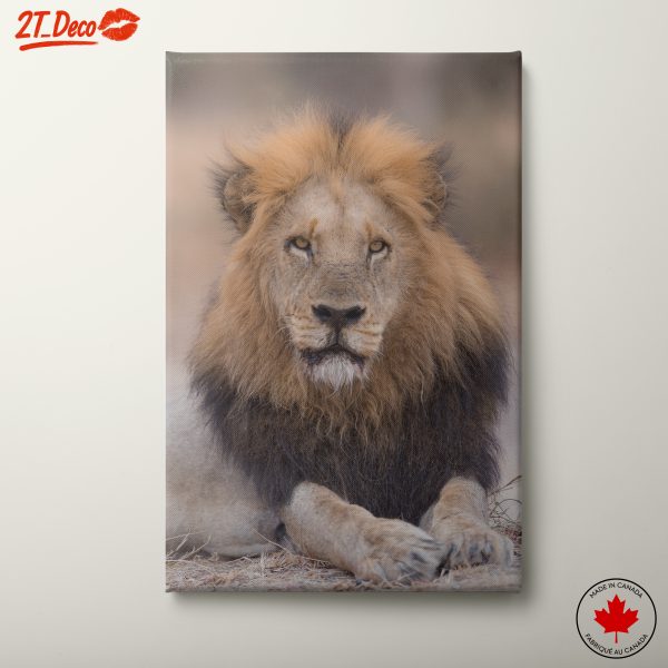 Majestic Lion Wall Art 6