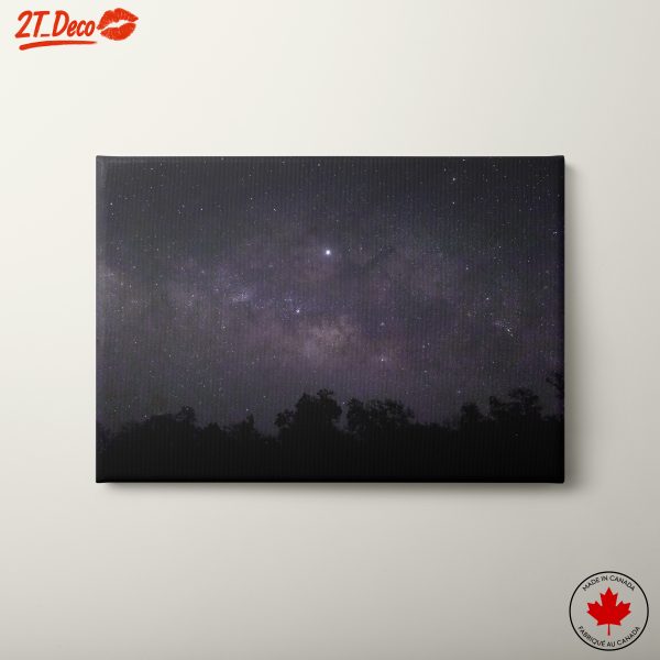 Stunning Night Sky with Stars