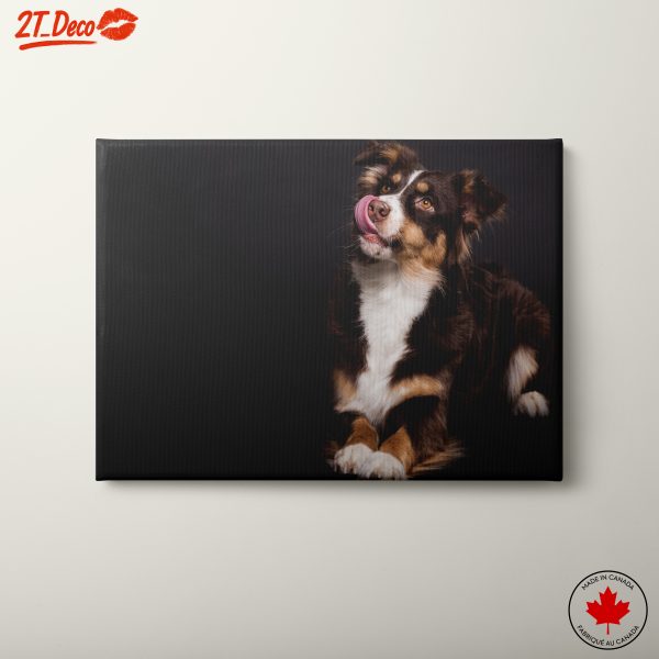 Playful Dog Portrait on Dark Background