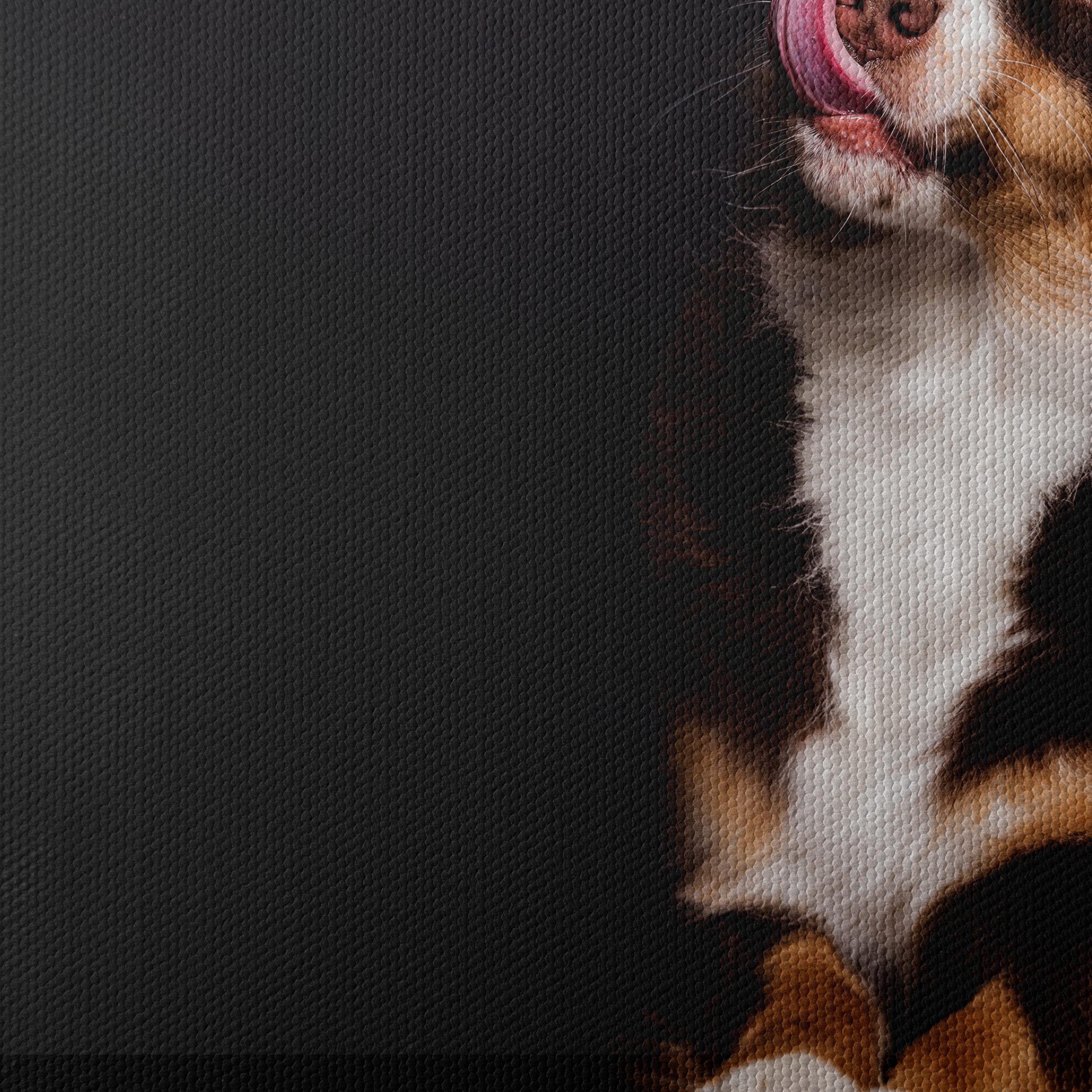 Playful Dog Portrait on Dark Background - Image 4