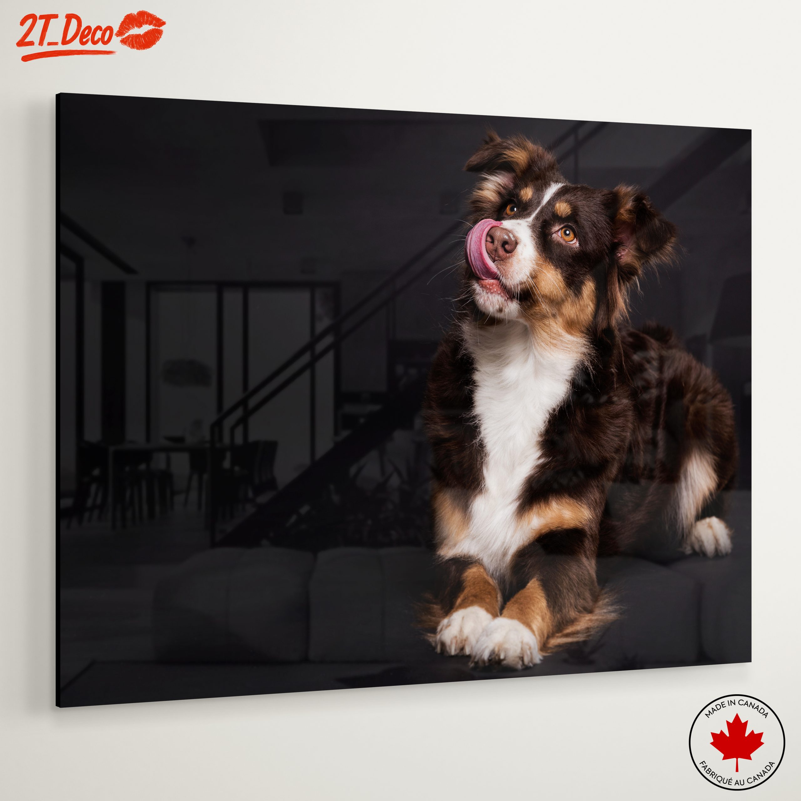 Playful Dog Portrait on Dark Background - Image 6