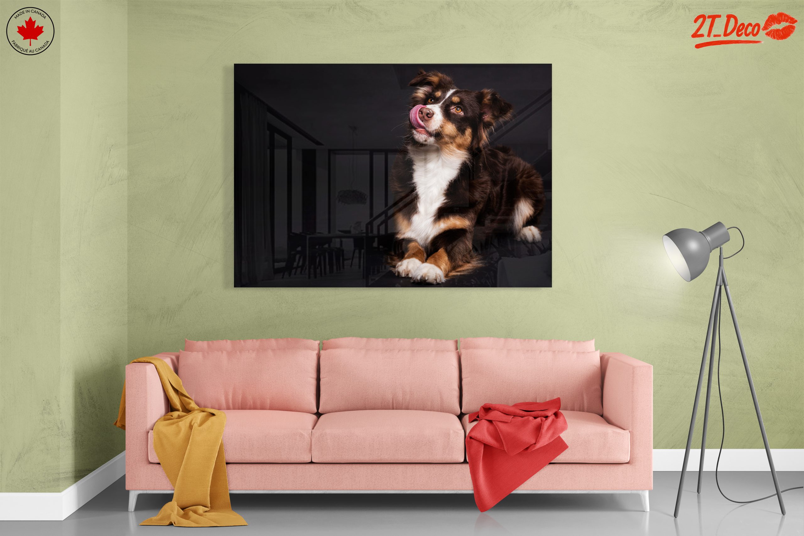 Playful Dog Portrait on Dark Background - Image 7