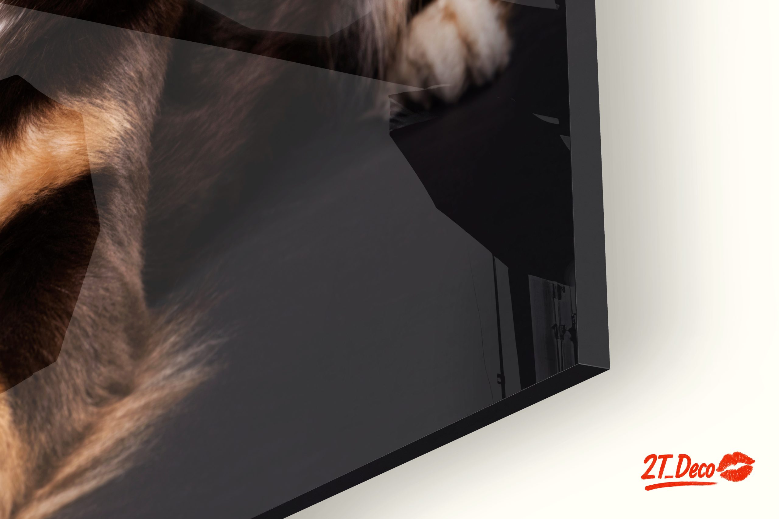 Playful Dog Portrait on Dark Background - Image 9
