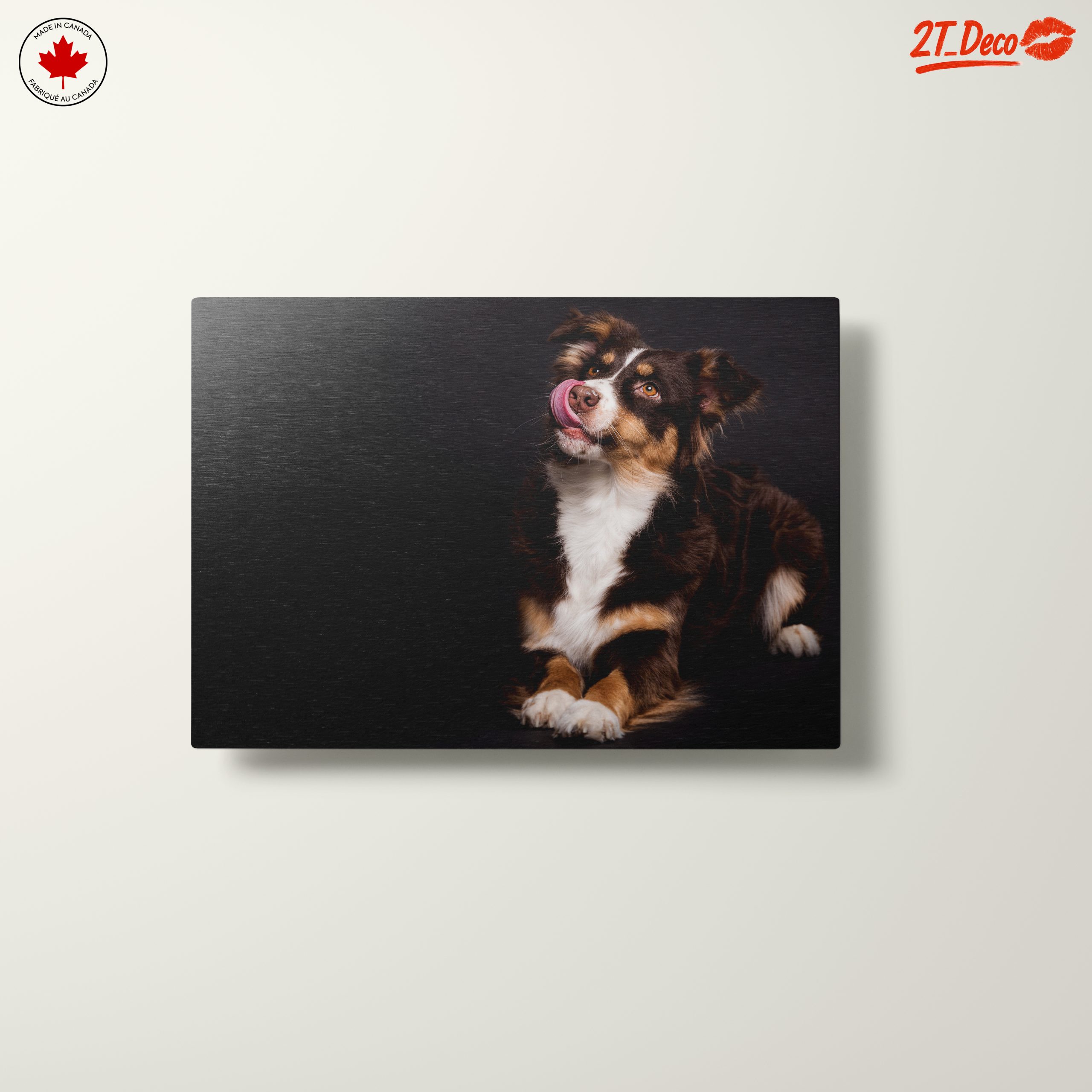 Playful Dog Portrait on Dark Background - Image 10